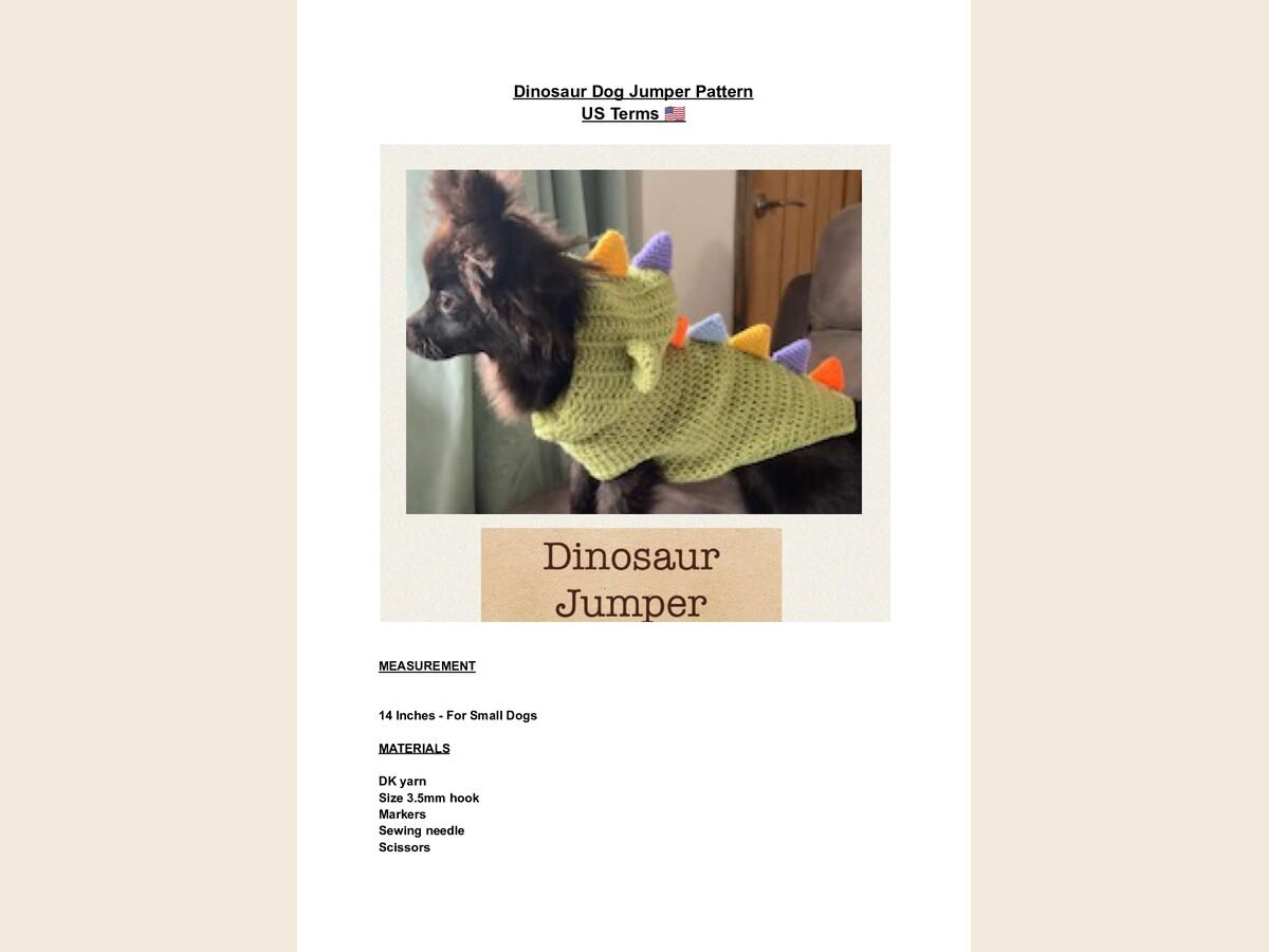 Dinosaur Dog Jumper