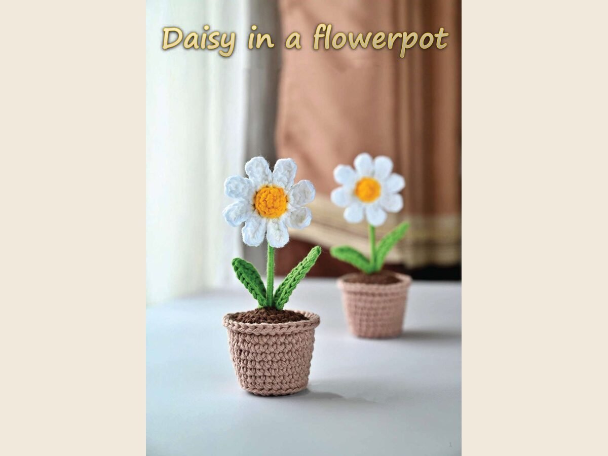 Flowers in Pot Bundle