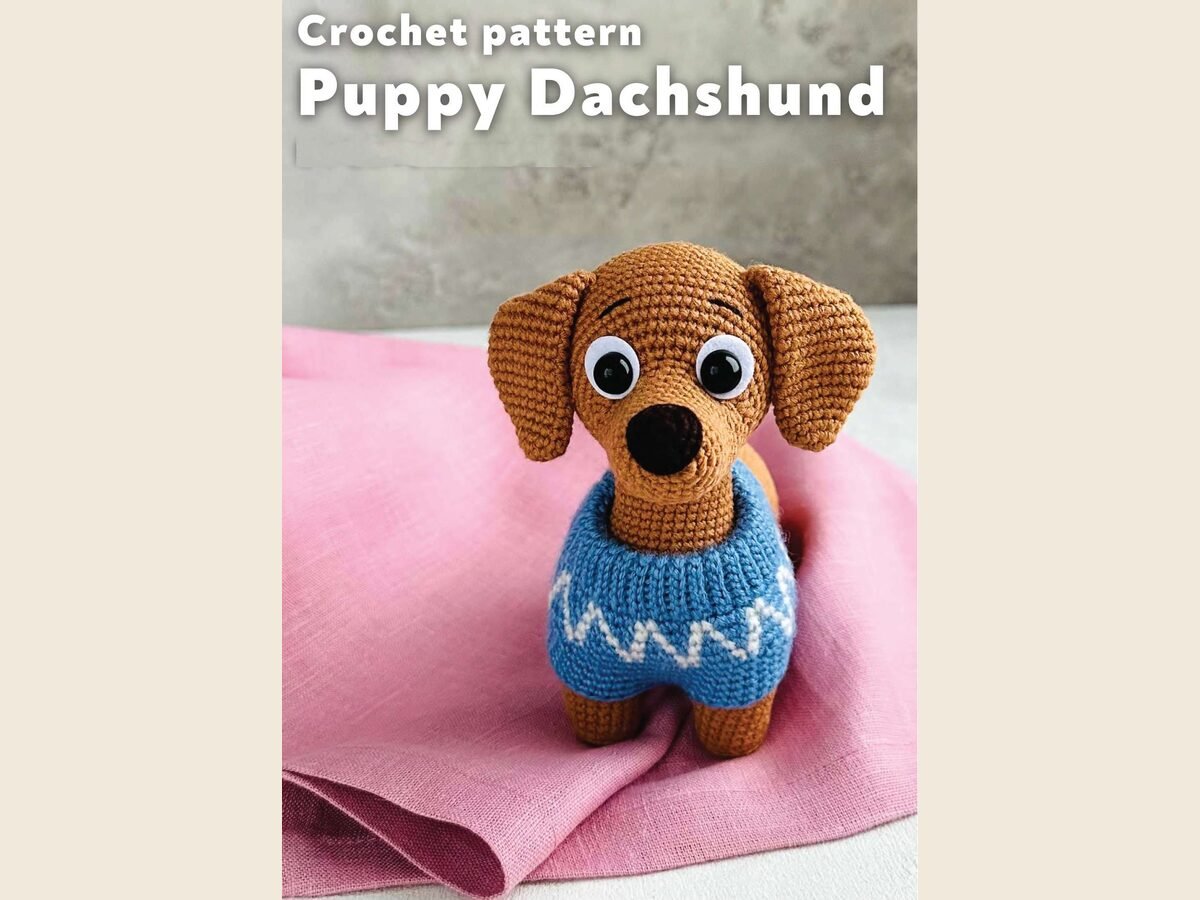 Puppy Dachshund