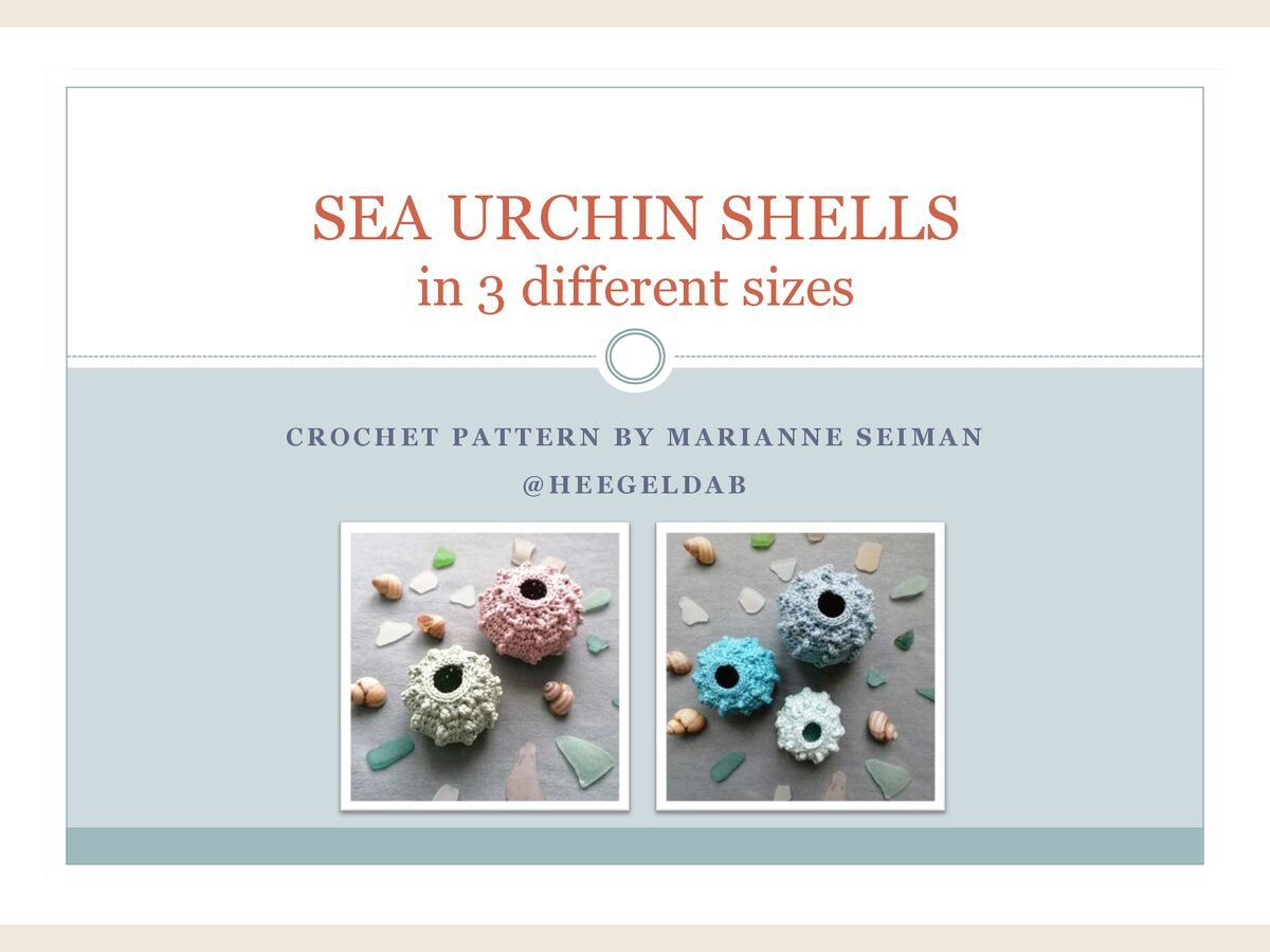 Sea Urchin Shell
