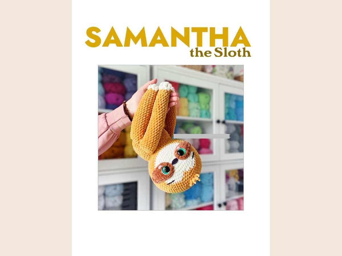 Sloths Sam and Pierre